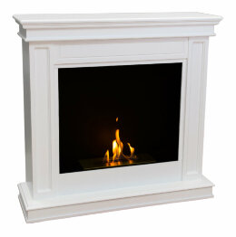 Биокамин Firebird Селена